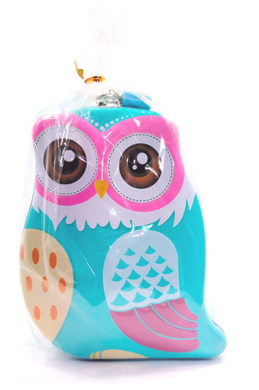 Picture of Piggy Bank - Owl Shape - Blue